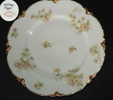Assiette PORCELAINE DE LIMOGES - HAVILAND & Co (24,5 cm, très bel état)