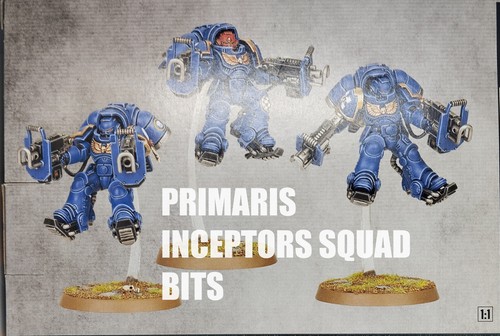 Space marines primaris - space,
