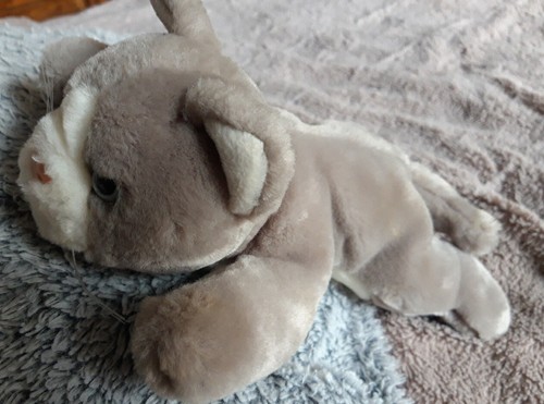 Peluche doudou chat - doudou,