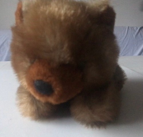 Peluche ourson couche 21 - peluche, "ourson 