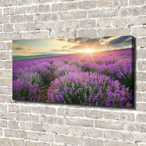 Tulup image sur toile tableau - tulup,