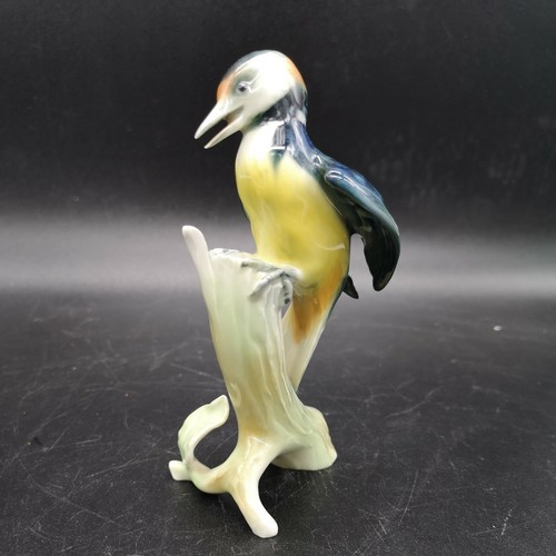 Superbe oiseau porcelaine alka - superbe,