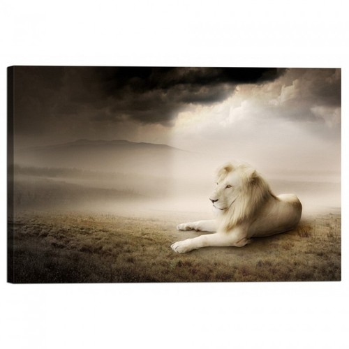 Cadre imprimé sur - imprimé, lion