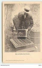 MONTFAVET - Mise en ruche d'un Essaim - Apiculture - Ruche - 19106