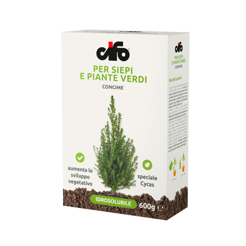 Cifo siepi plantes vertes - siepi,