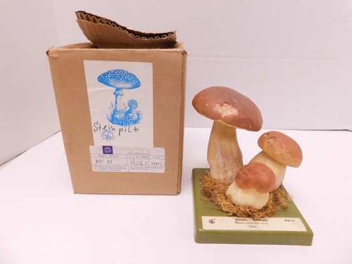 Vtg somso steinpilz - vtg,