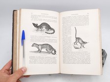 Les MAMMIFERES (1869) Louis FIGUIER - 276 illustrations - Zoologie - Animaux