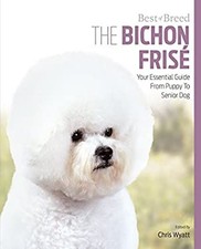 Le Bichon Frisé : Votre Guide
