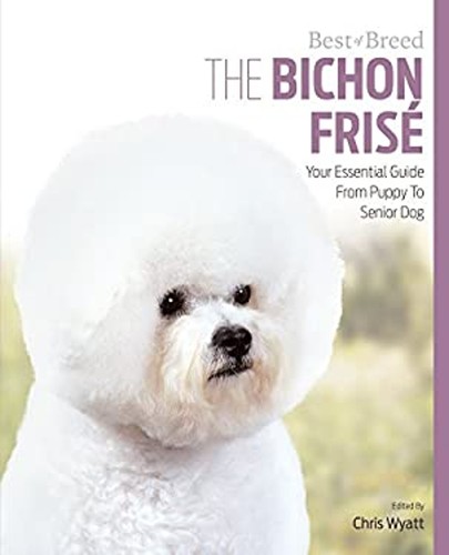 Bichon frisé votre - votre, guide