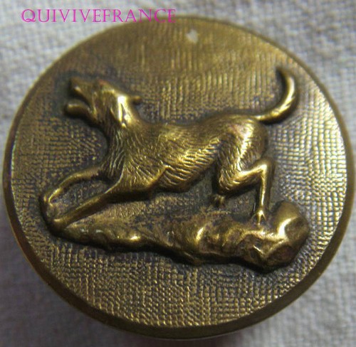 B1556 bouton chasse - b1556,
