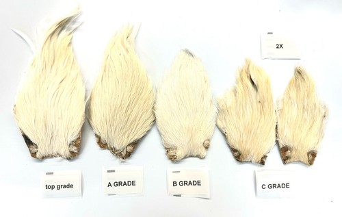 Plumes cou coq montage - de, coq,
