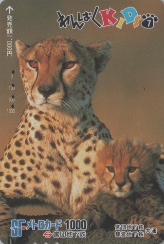 Rare carte japon - rare, série