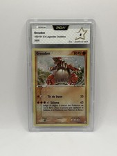 Carte Pokémon Groudon 102/101