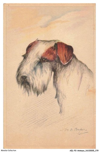 Azlp2 0193 animaux chien - -, fox