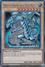 Yu-Gi-Oh! Dragon Blanc aux
