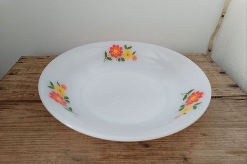 Plat arcopal modèle - ,