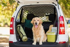 Filet de séparation