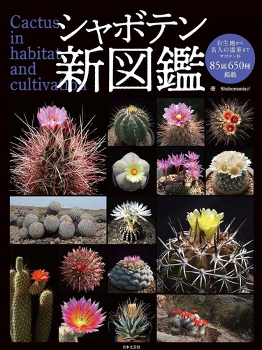 Livre photo édition japonaise