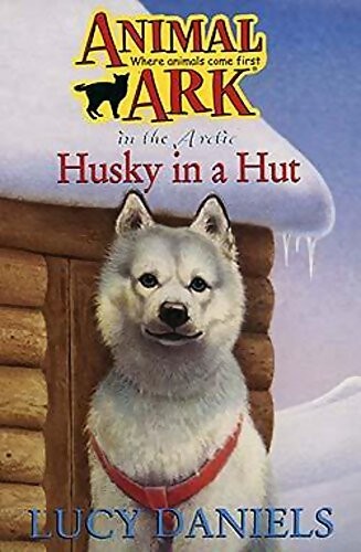 Husky hut lucy - husky,