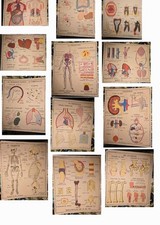 Vends lot 12 affiches Tableaux des sciences ROSSIGNOL Montmorillon