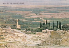 Carte postale postcard 10X15cm ISRAEL PLAIN OF JERICO JERICHO