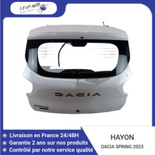 ?? HAYON DACIA SPRING ➤901002133R ♻️
