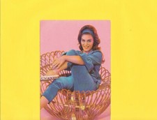 DALIDA RARE CARTE POSTALE DENTELEE et TIMBREE DES PAYS BAS ( voir photo) rare