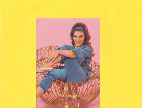 Dalida rare carte - rare, postale