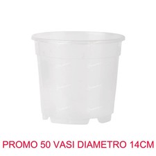 50 Vases Pour Orchidées