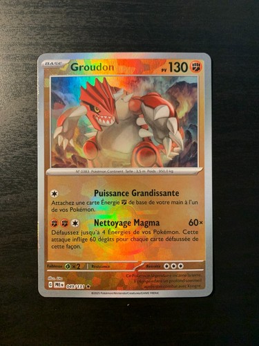 Carte pokémon reverse - pokémon,