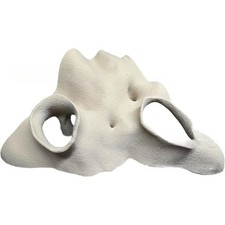 Cachette d'angle fausse racine