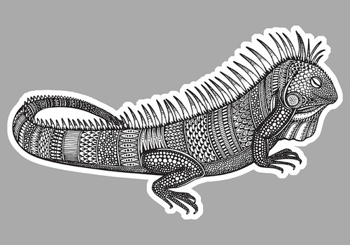 Iguane varan lezard ethnique - iguane,