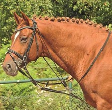 Gogue HKM Couleur - Noir