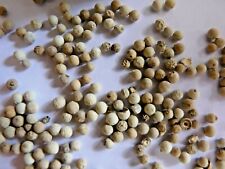 POIVRE BLANC TRADITIONNEL 40 g