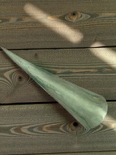 Vintage taxidermie curiosité