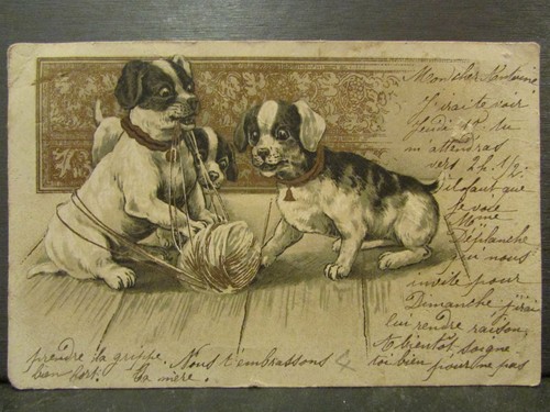 Cpa fantaisie chiens chiots - fantaisie,