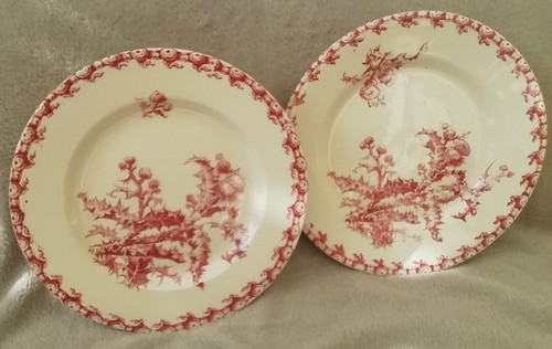 Assiette haute sur pied 1 - assiette, +