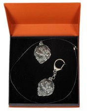 Berger polonais de plaine- set