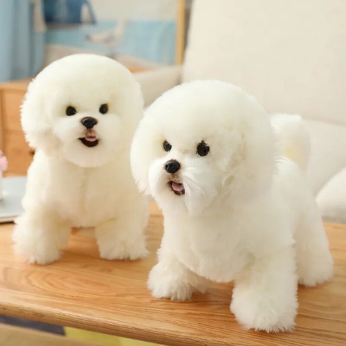 Dog plush - dog, toy