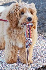 Jouet Pour Chien - Lang Yarns