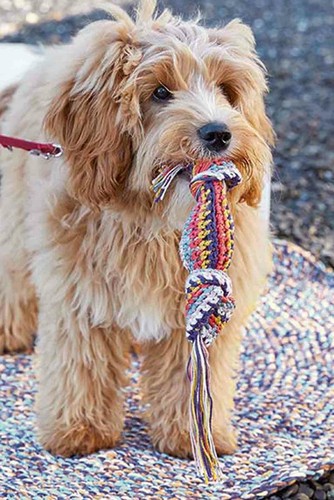 Jouet pour chien lang - jouet,
