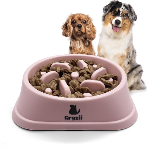 Gamelle anti glouton chien - gamelle,