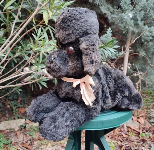 Ancien grand chien caniche - ancien,