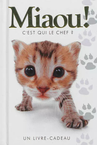 Miaou helen exley odile - miaou,, exley,