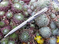 ANCIEN STYLO BILLE WATERMAN CF