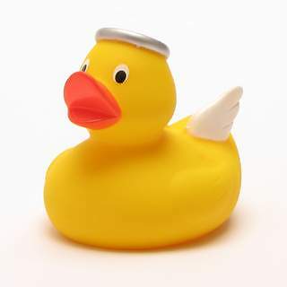 Canard bain ange - canard,