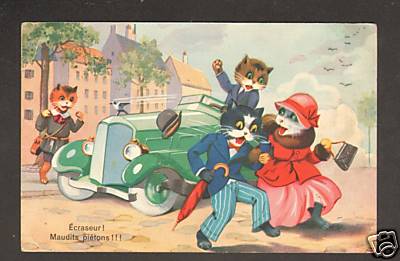 Chats humains fou du - fou,