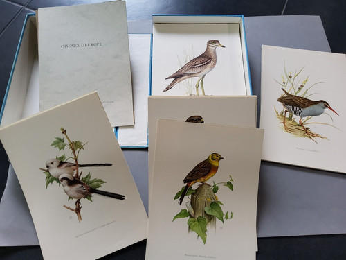 Heinroth les oiseaux - les, d’