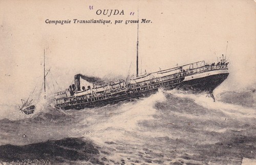 Carte postale postcard - 🦬carte, /