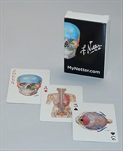 Netter playing cards - netter, cards: